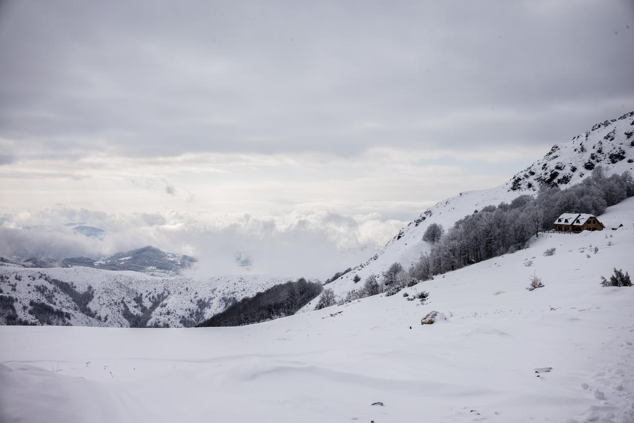 Holiday home Floris Kopaonik