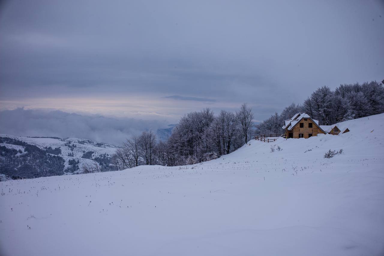 Holiday home Floris